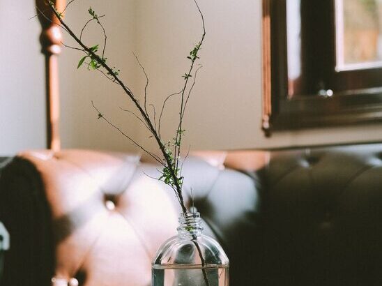 resized_114151